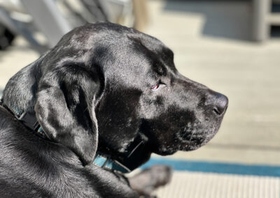 Contemplation: week #34