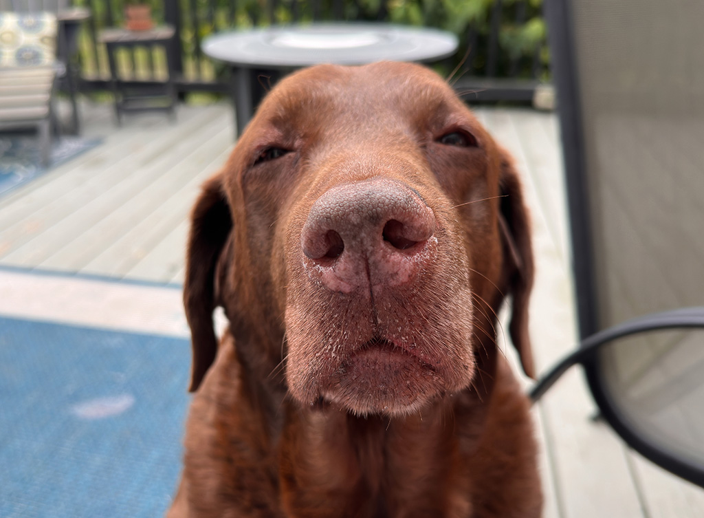 Dharma think old women should wear lots of clothes.