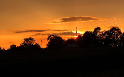 power cuts off when it sprinkles here