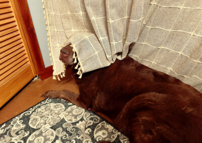 Shower police: week #36