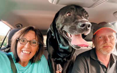 dirt, drool, and the face of regret