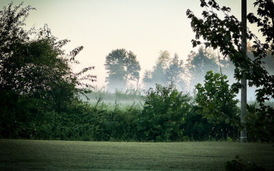 what’s the big deal about a logo?