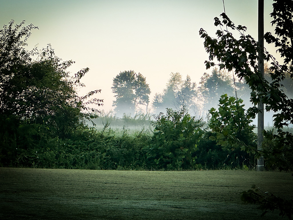 rural morning view