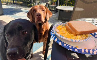 some might think retirement life is boring