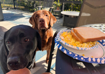 breakfast audience: week #38