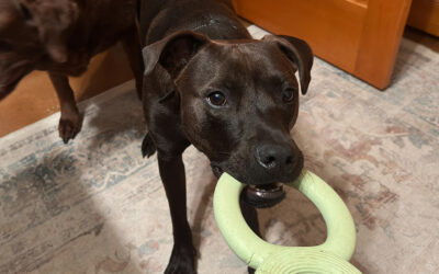 thought about going to Mumbai but changed my mind