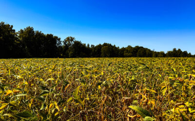 it doesn’t mean you don’t care if you don’t agree