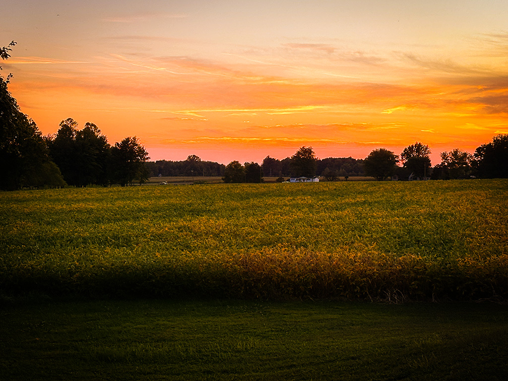 beautiful Indiana sunset
