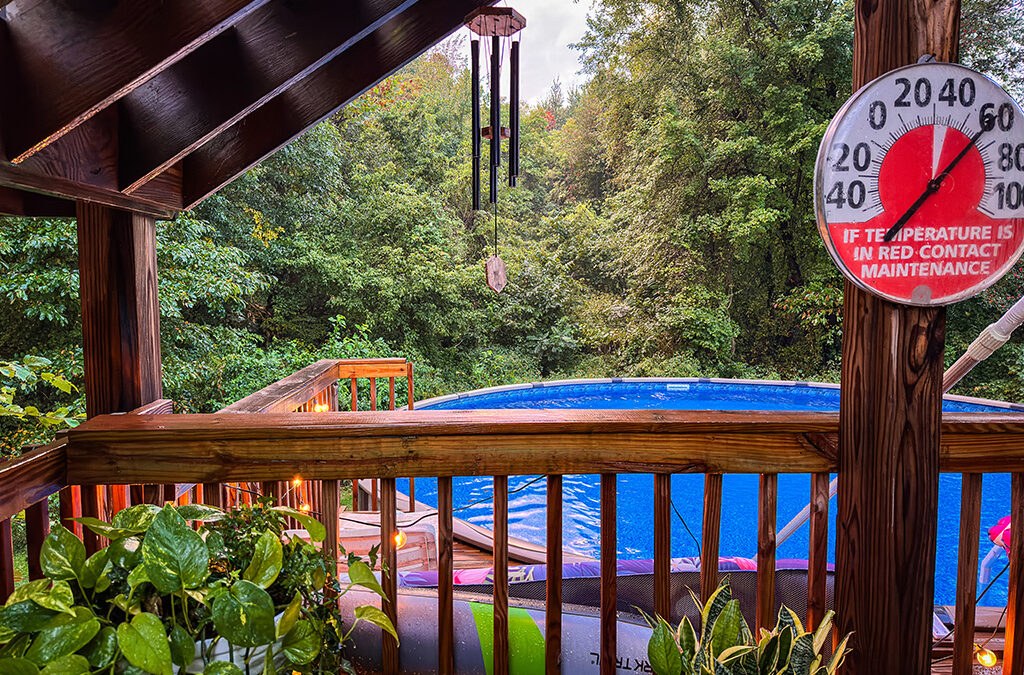 from mowing dirt to a full pool