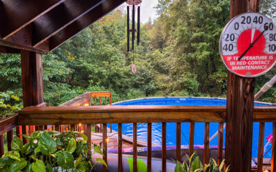 from mowing dirt to a full pool