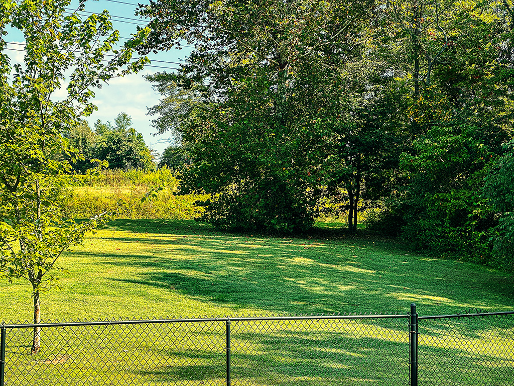 view from the barndo