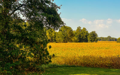 use a brain cell before posting on social media