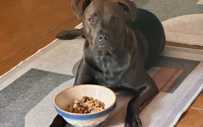 quirky is distinctive: not always in a good way