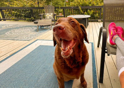 Loving the last days of summer: week#39