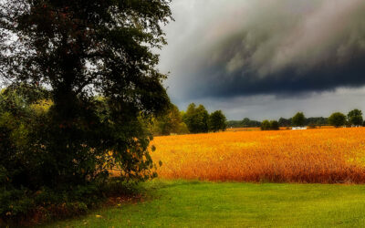 smart hoosiers put noah on speed dial