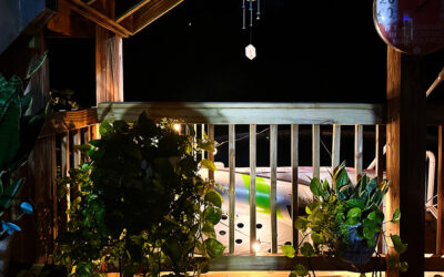 it’s quiet and peaceful in the country… until it’s not