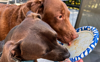 random tech — and over 1/8th ton of love