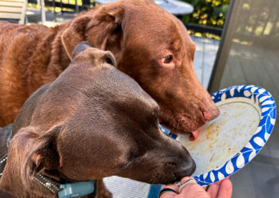 Clean that plate! week #42