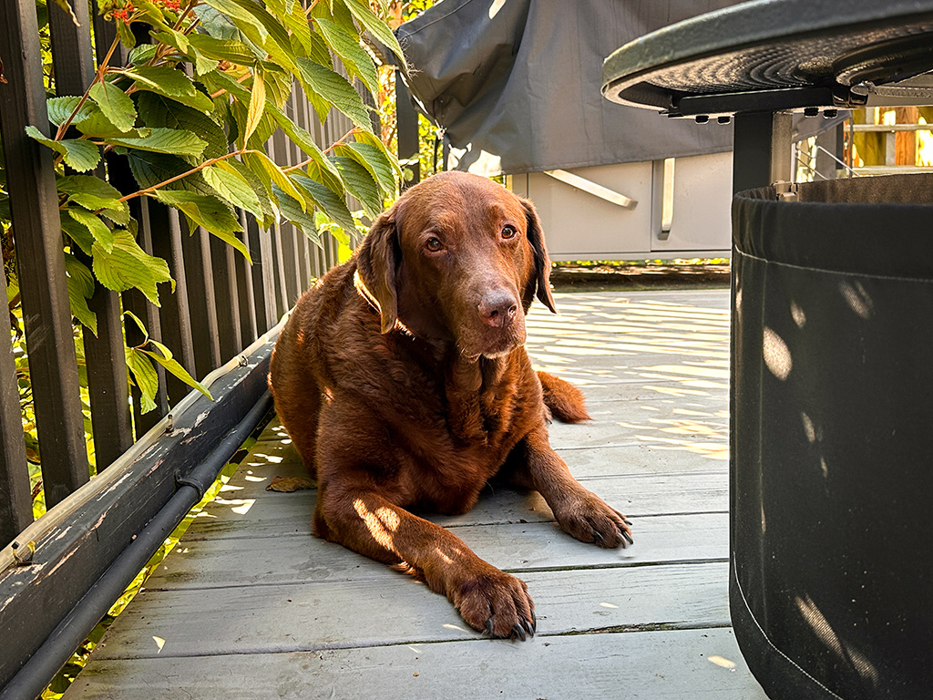 Dharma Lou looking pretty