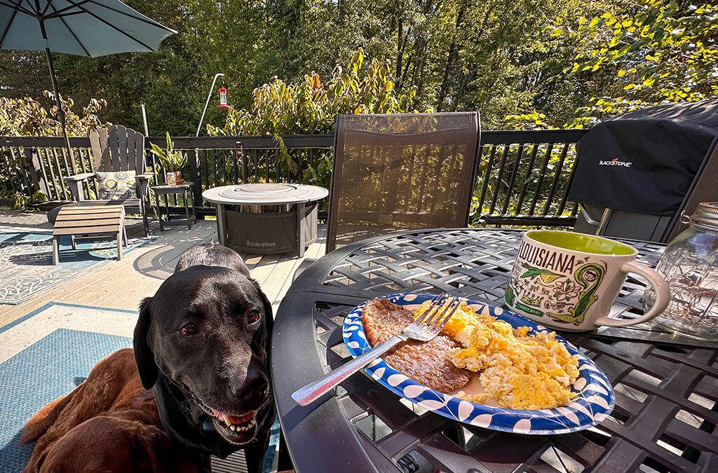 what do retired folks do all day?