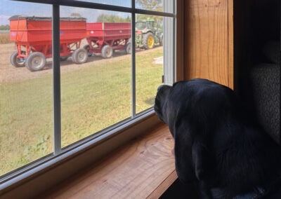 Harvest time: week #43