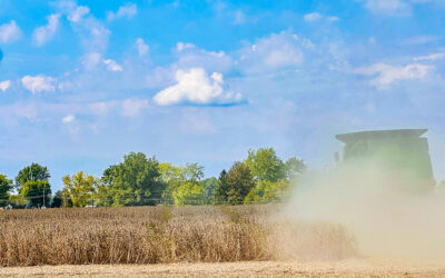 losing a full hour a daylight this month