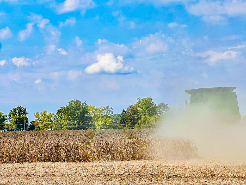 harvesting beans in Indiana