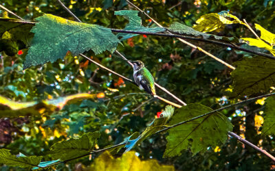 don’t be jealous because we hit the powerball!