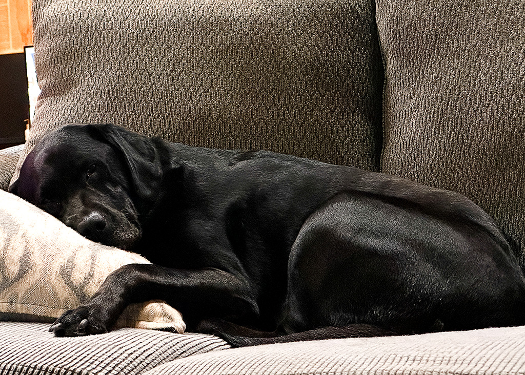 merida facing south during sleep