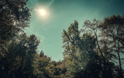 the dancing sun miracle from 108 years and 1 day ago