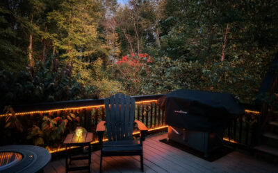 the only good wooly worm is mainly brown