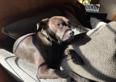 Hugo is a toddler: week #44