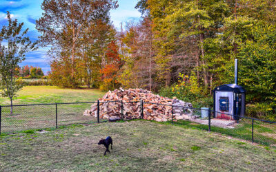 what’s on your anti-bucket list?