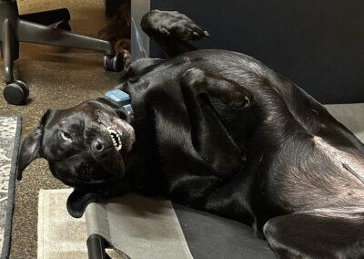 Merida needs an intervention: week #41