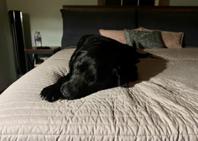 Bed making is futile: week #45