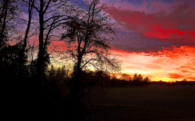 am i the only one feeling festive?