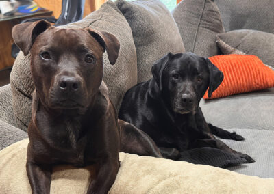 Hugo & Merida: week #46