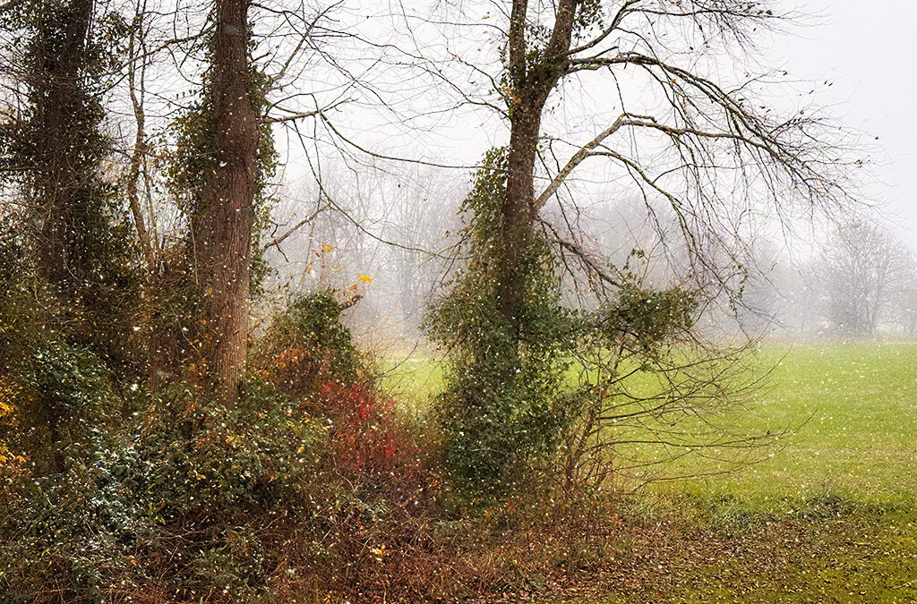 1st snow of the season 2025