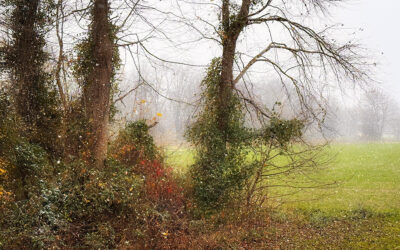 1st snow of the season 2025