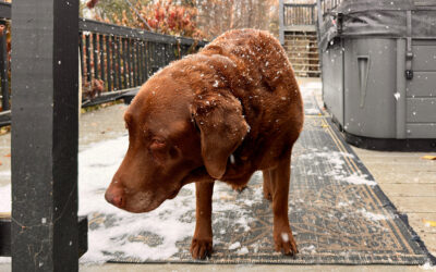 can you name one american that doesn’t have a story about healthcare?