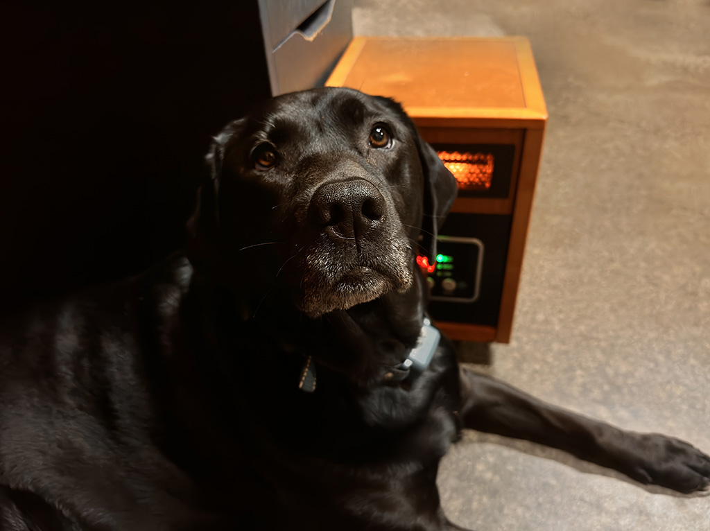 Merida found the warmest spot