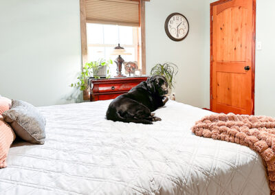 Merida's name is unpopular: week #48