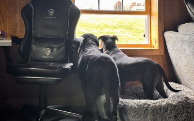 tai chi walking: not just for old people