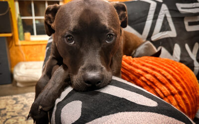 common sense and the epstein files