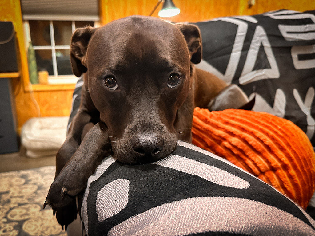 Hugo thinks it's fishy.