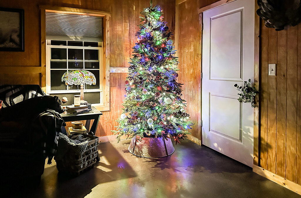 decorating for christmas before thanksgiving