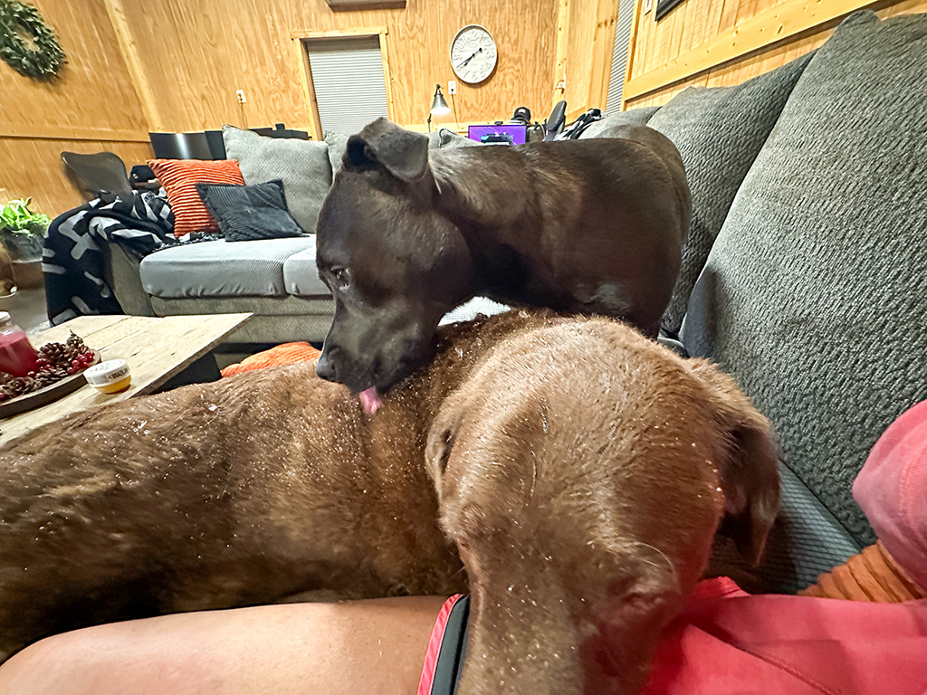 Hugo cleaning Dharma of ice