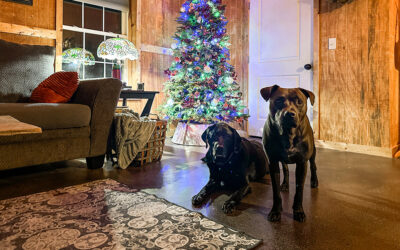 am i a ticking time bomb hindering economic growth?