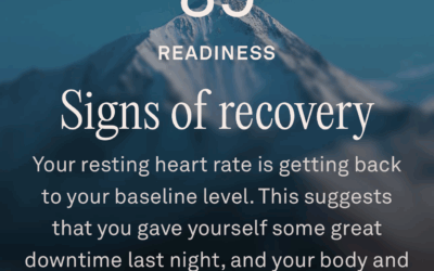 take my 3 bucks and stop showing me ads, prime video!