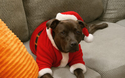 The Challenge of Workforce Participation